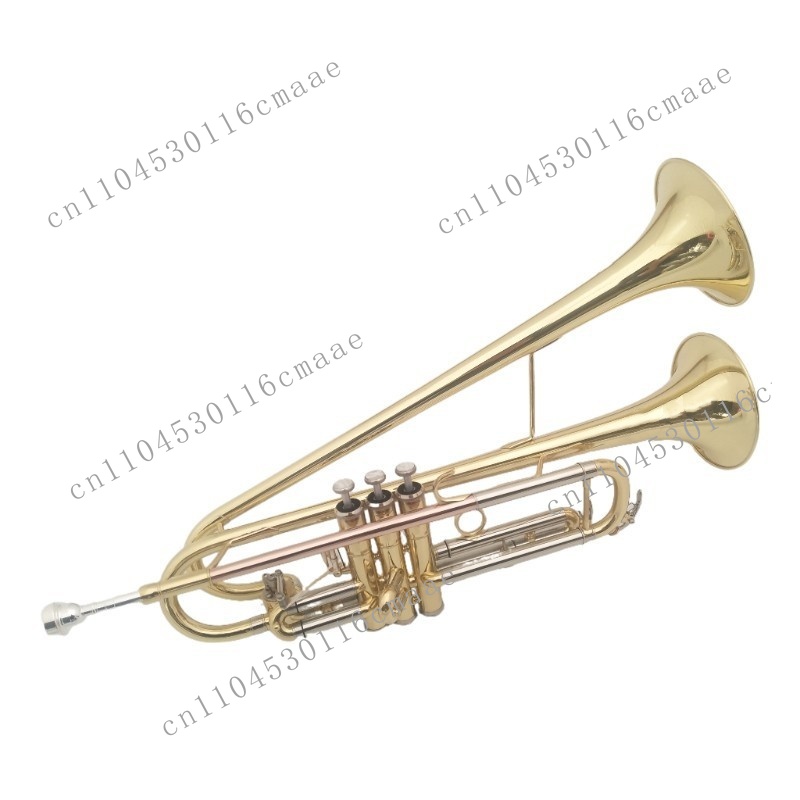 Musical Instrument Manufacturers - Messing-Doppelhorn-Trompete: Professionelles Musikinstrument für Band-Auftritte vom