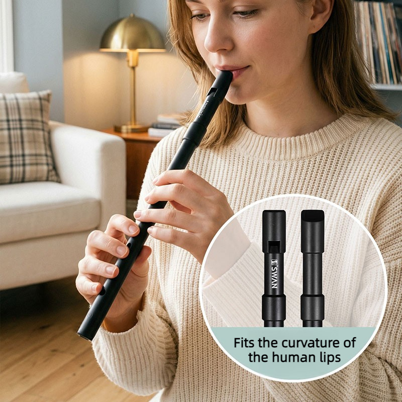 Penny Whistle D - C/D Schlüssel Blechpfeife für Anfänger, tragbare