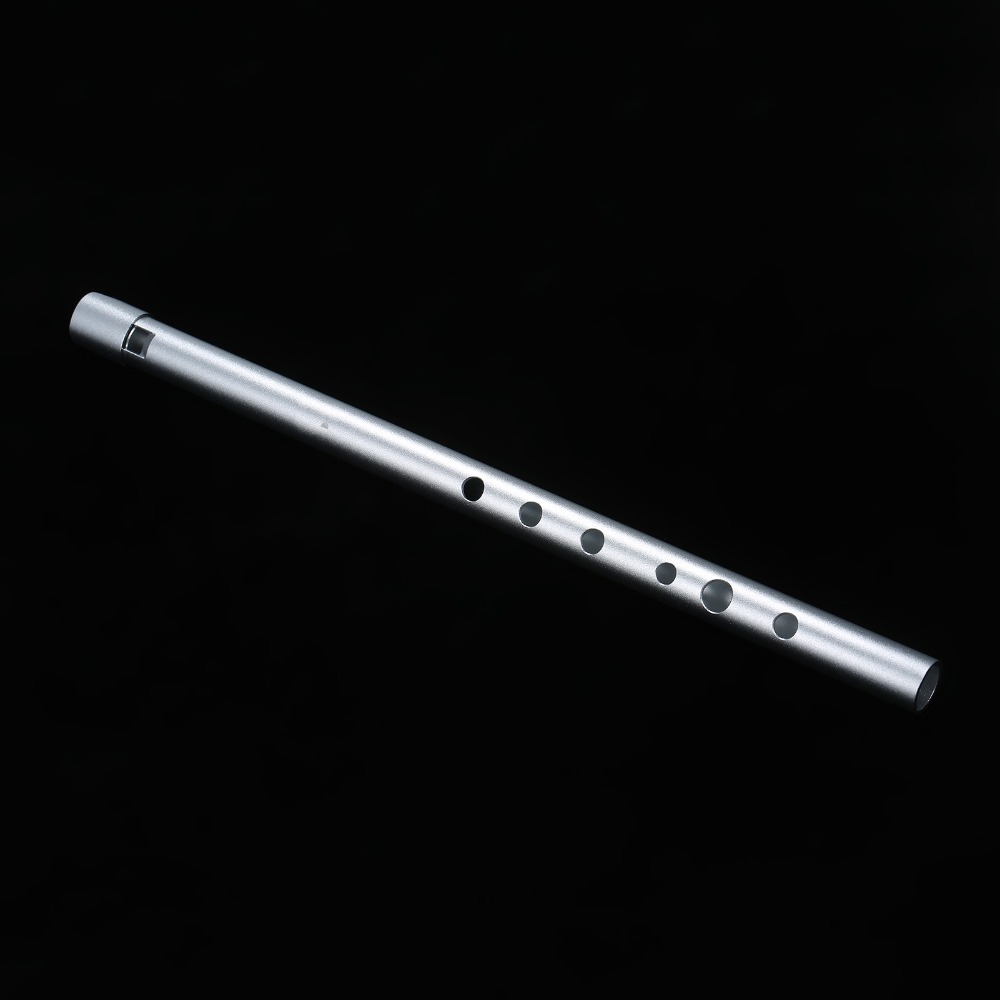 Premium D-Dur Irish Whistles F – Penny Whistle D Bewertung und Preis