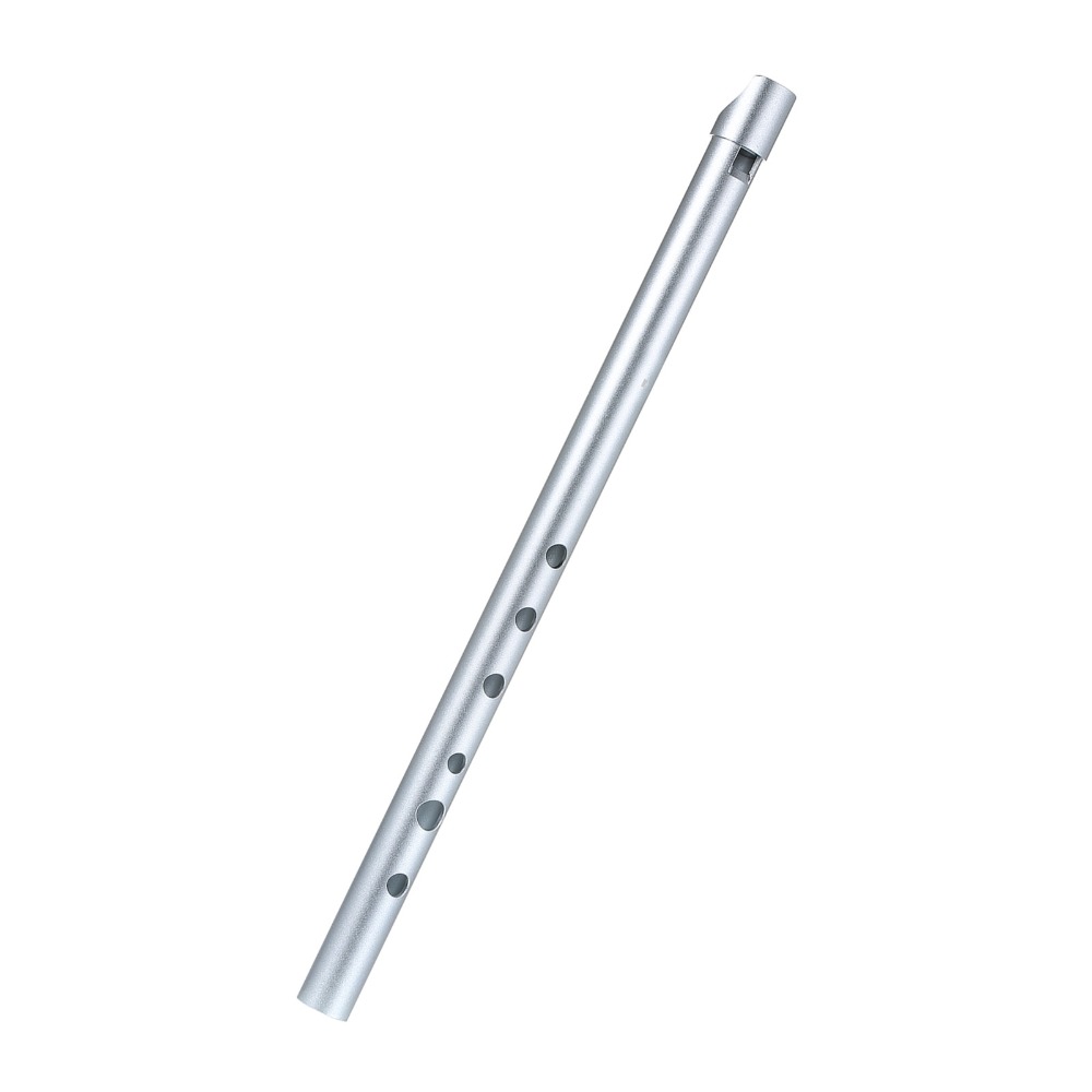 Professionelle D-Dur Irish Whi – Penny Whistle D Bewertung und Preis