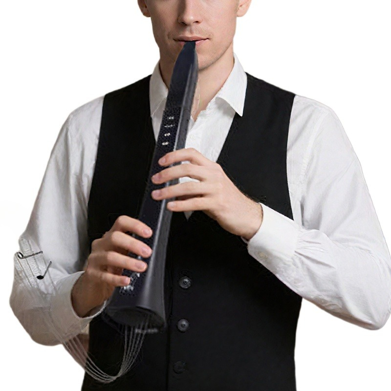 Tragbares elektronisches Blasi – Musical Instrument ____ Bewertung und Preis