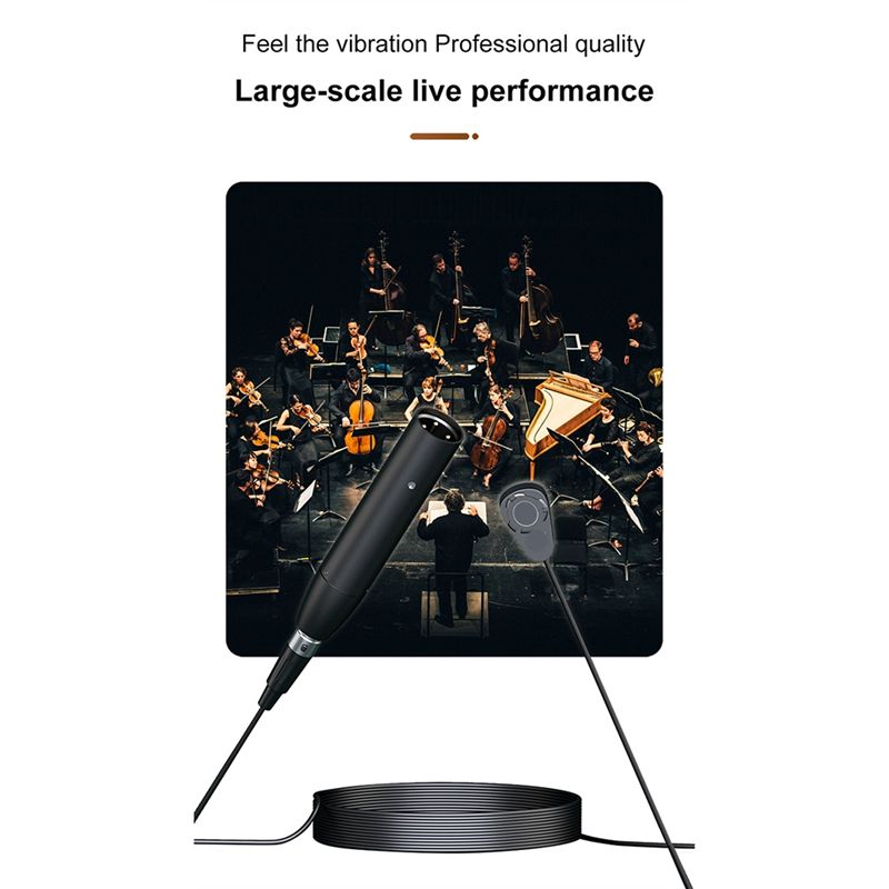 【A15I】 GC411 Instrumenten-Tona – Musical Instrument ____ Bewertung und Preis