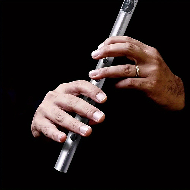 1 STÜCK C/D-Taste Zinn Penny W – Penny Whistle D Bewertung und Preis