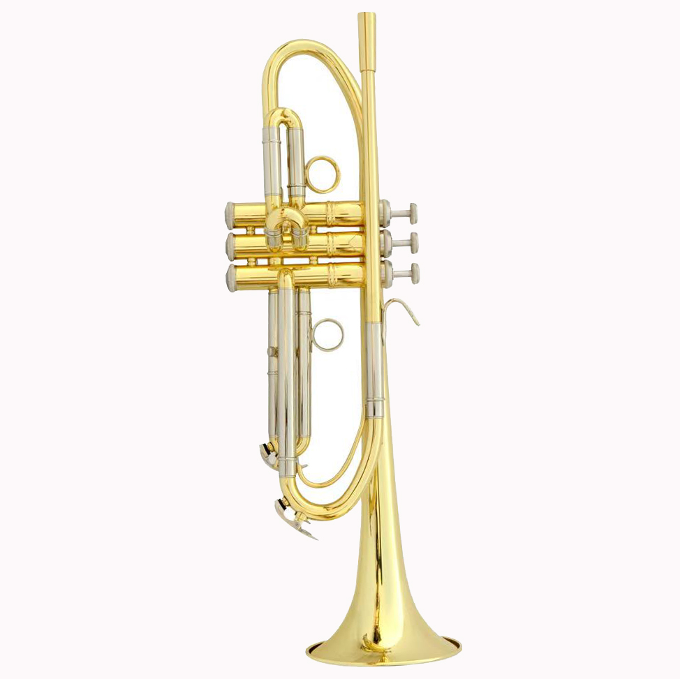 Trompete mit individuellem Des – Musical Instrument Logo Bewertung und Preis