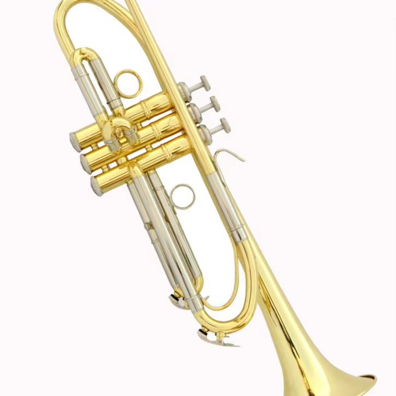 Trompete mit individuellem Des – Musical Instrument Logo Bewertung und Preis
