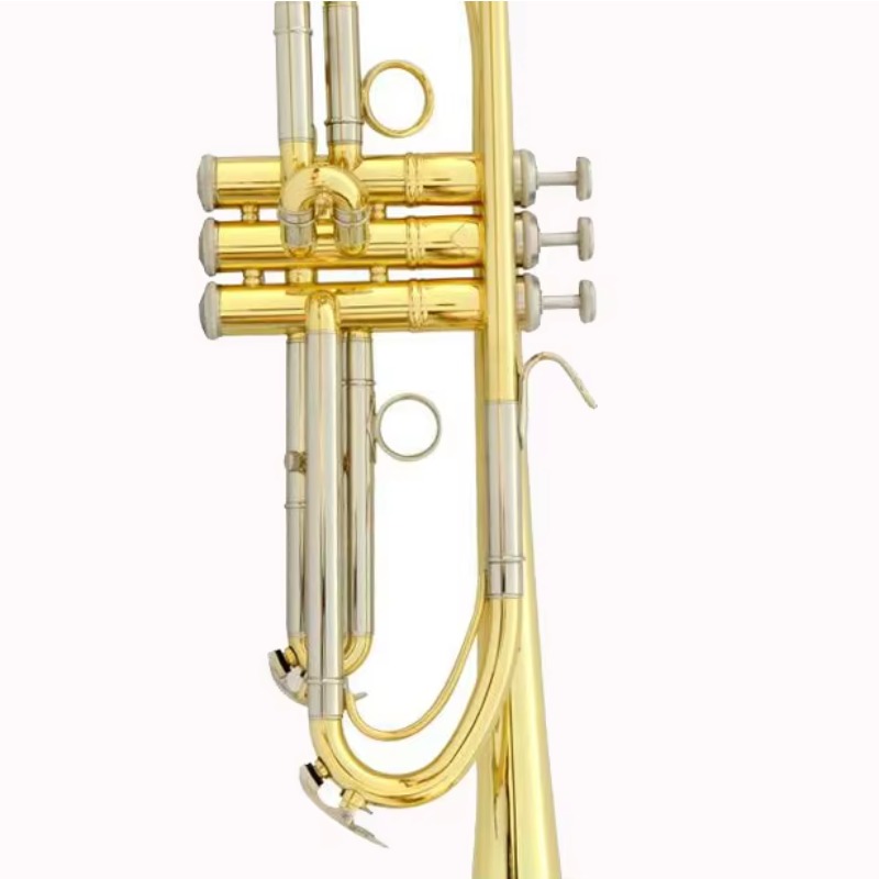Trompete mit individuellem Des – Musical Instrument Logo Bewertung und Preis