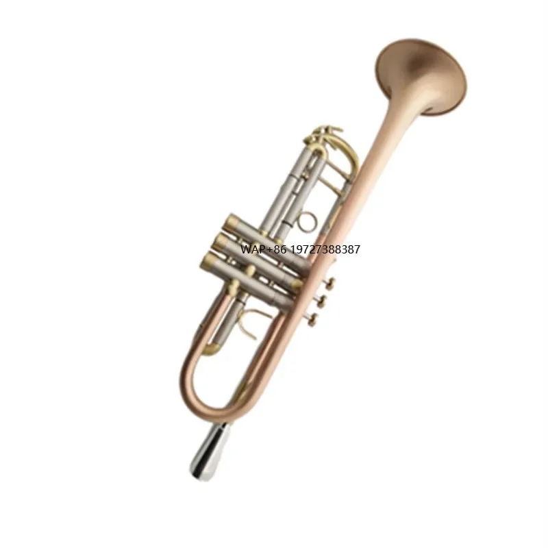 Der Hersteller Verkauft Kleine – Musical Instrument Manufacturers Bewertung und Preis